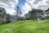 4 Knoll Crescent, Teringie, SA 5072-Image
