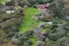 4 Knoll Crescent, Teringie, SA 5072-Image