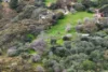 4 Knoll Crescent, Teringie, SA 5072-Image