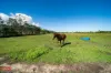 4 Scanlan Road, Jarra Creek, Qld 4854-Image