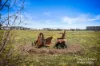 4 Stock Close, Murrumbateman, NSW 2582-Image