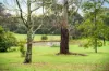 40 Dietz Lane, Oakdale, NSW 2570-Image