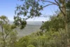 40 King Parrot Court, Clagiraba, Qld 4211-Image