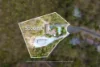 40 Leah Drive, Belivah, Qld 4207-Image