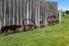 40 Moyne Falls-Hawkesdale Road, Hawkesdale, Vic 3287-Image
