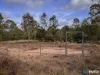 40 Old Rifle Range Road, Nanango, Qld 4615-Image