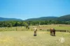 40 Rayner Court, Yarra Junction, Vic 3797-Image