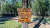 40 Twidale Lane, Leyburn, Qld 4365-Image