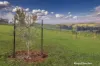40 Ure Road, Gembrook, Vic 3783-Image