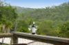 40 Waterfall Drive, Wongawallan, Qld 4210-Image