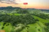 400 Dinner Creek Road, Eubenangee, Qld 4860-Image