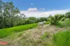 400 Dinner Creek Road, Eubenangee, Qld 4860-Image