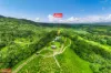 400 Dinner Creek Road, Eubenangee, Qld 4860-Image