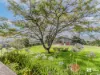 401 Nobbys Creek, Nobbys Creek, NSW 2484-Image