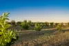 403 Dry Plains Road, Strathalbyn, SA 5255-Image