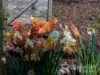 406a Gravelly Beach Road, Gravelly Beach, Tas 7276-Image