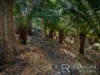 406a Gravelly Beach Road, Gravelly Beach, Tas 7276-Image