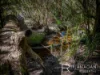 406a Gravelly Beach Road, Gravelly Beach, Tas 7276-Image