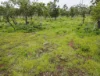 409 Hendry Road, Katherine, NT 0850-Image