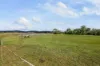 409 Yandina Bli Bli Road, Maroochy River, Qld 4561-Image