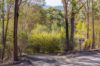 41 Kiaka Road, Nethercote, NSW 2549-Image