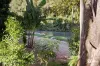 41 Solomons Road, Mount Warning, NSW 2484-Image