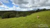 41 Wairamber Creek Road, Topaz, Qld 4885-Image