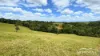 41 Wairamber Creek Road, Topaz, Qld 4885-Image