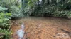 41 Wairamber Creek Road, Topaz, Qld 4885-Image