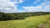 41 Wairamber Creek Road, Topaz, Qld 4885-Image