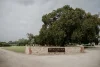 410 Angas Plains Road, Langhorne Creek, SA 5255-Image