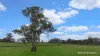 411 Casterton - Dartmoor Road, Bahgallah, Vic 3312-Image
