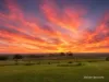 411 Casterton - Dartmoor Road, Bahgallah, Vic 3312-Image