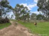 411 Casterton - Dartmoor Road, Bahgallah, Vic 3312-Image