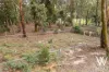 411 Yetholme Drive, Yetholme, NSW 2795-Image