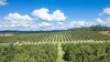 412 South Bank Road, Tamban, NSW 2441-Image