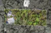 42-44 Leichhardt Drive, Yandina Creek, Qld 4561-Image