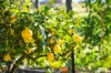 42 Black Range Road, Black Range, NSW 2550-Image