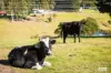 42 Black Range Road, Black Range, NSW 2550-Image
