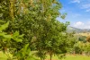 42 Red Gully Road, Amamoor, Qld 4570-Image