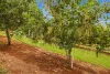 42 Red Gully Road, Amamoor, Qld 4570-Image