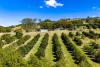 42 Red Gully Road, Amamoor, Qld 4570-Image
