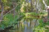 420 Mary Valley Road, The Dawn, Qld 4570-Image