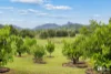 423 Numinbah Road, Nobbys Creek, NSW 2484-Image