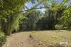 426 Smiths Creek Road, Smiths Creek, NSW 2484-Image