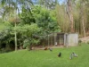 43 Belmont Park Drive, Mudgeeraba, Qld 4213-Image