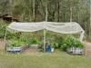 43 Belmont Park Drive, Mudgeeraba, Qld 4213-Image