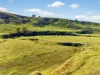 43 Butler Street, Seaton, Vic 3858-Image