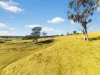 43 Butler Street, Seaton, Vic 3858-Image
