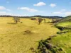 43 Butler Street, Seaton, Vic 3858-Image